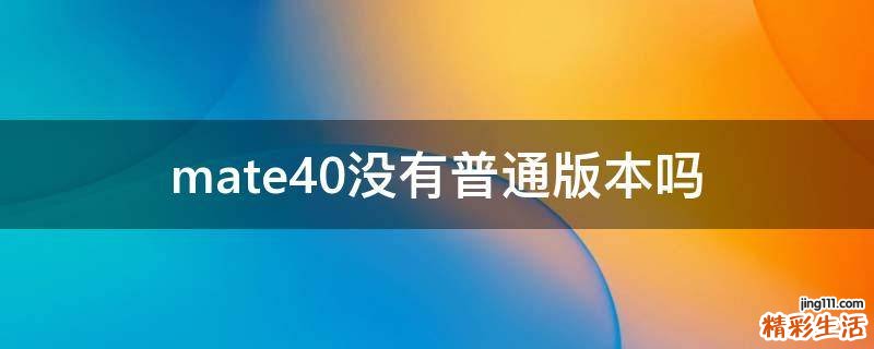 mate40没有普通版本吗
