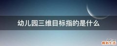 幼儿园三维目标指的是什么