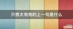 只恨太匆匆的上一句是什么