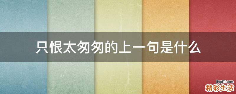 只恨太匆匆的上一句是什么