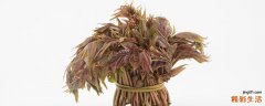 香椿芽炒鸡蛋血压高的人能吃吗 香椿的功效与作用禁忌