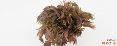 香椿几月份发芽 香椿5月份能不能吃