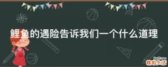 鲤鱼的遇险告诉我们一个什么道理