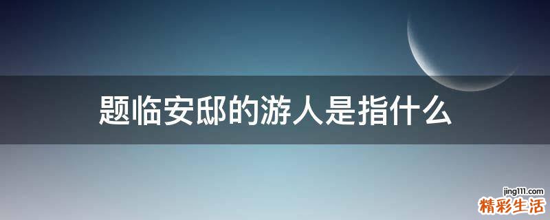 题临安邸的游人是指什么
