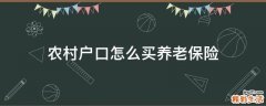 农村户口怎么买养老保险
