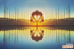 5 最常用的去黑头方法大盘点