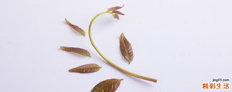 香椿的嘌呤含量高吗 香椿嘌呤含量多少