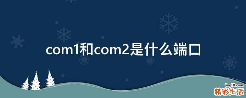 com1和com2是什么端口