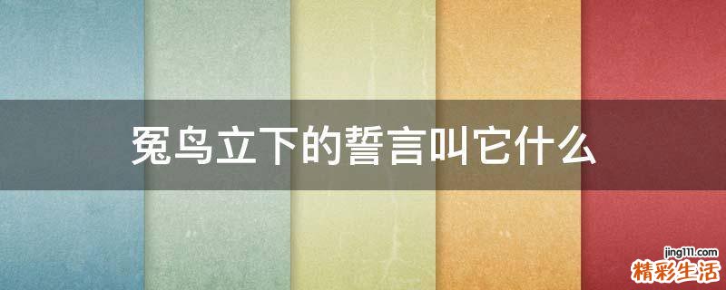 冤鸟立下的誓言叫它什么