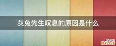灰兔先生叹息的原因是什么