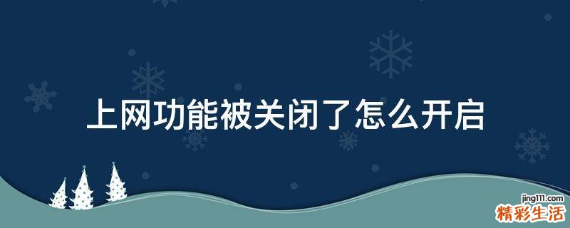 上网功能被关闭了怎么开启