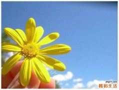 怎样正确清洗粉扑_正确清洗粉扑的方法