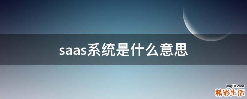 saas系统是什么意思