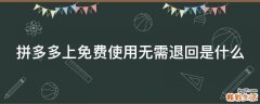 拼多多上免费使用无需退回是什么