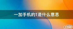 一加手机的T是什么意思