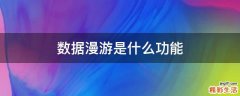数据漫游是什么功能
