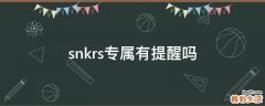 snkrs专属有提醒吗