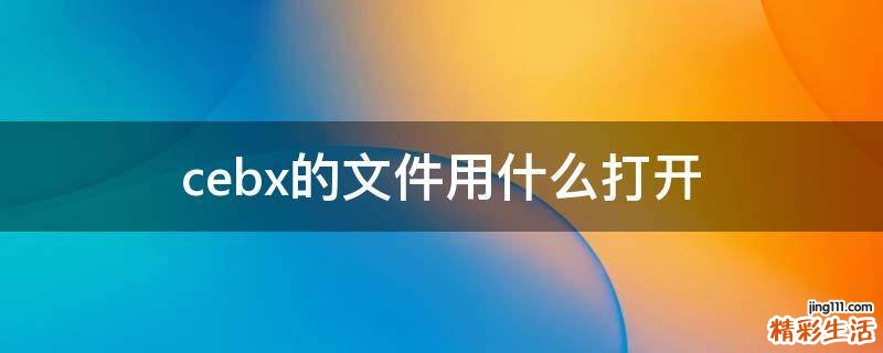 cebx的文件用什么打开