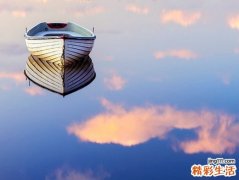 水蔗草