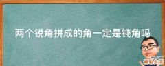 两个锐角拼成的角一定是钝角吗