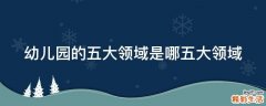 幼儿园的五大领域是哪五大领域