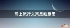网上流行文案是啥意思