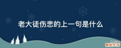 老大徒伤悲的上一句是什么