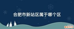 合肥市新站区属于哪个区