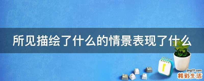 所见描绘了什么的情景表现了什么