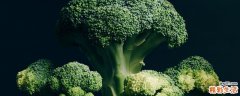 西兰花怎么吃比较好 吃西兰花能增强免疫力吗