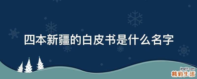 四本新疆的白皮书是什么名字