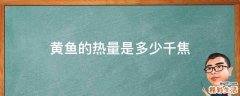 黄鱼的热量是多少千焦