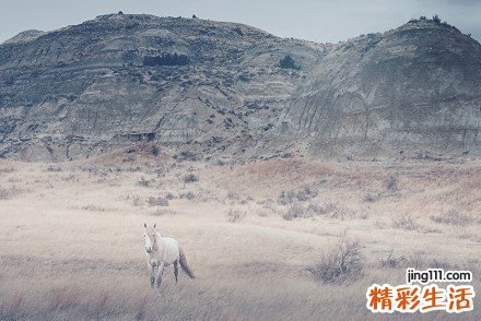 4 最有效的去黑头方法大盘点