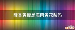 降香黄檀是海南黄花梨吗