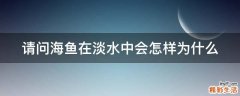 请问海鱼在淡水中会怎样为什么