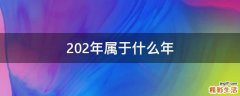 202年属于什么年