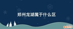 郑州龙湖属于什么区