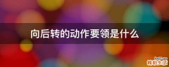 向后转的动作要领是什么