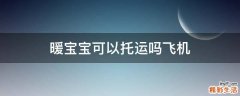 暖宝宝可以托运吗飞机