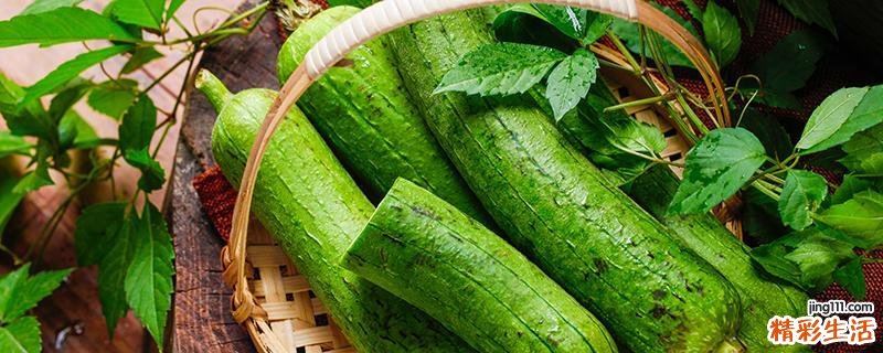 丝瓜冻了以后还能吃吗 丝瓜老了有籽还能吃吗