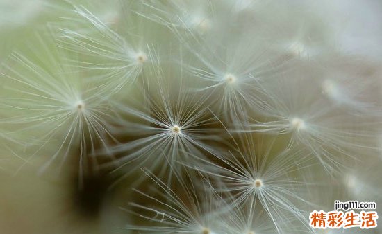 6 快节奏高压力诱发心理问题 专家解读成因