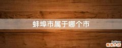 蚌埠市属于哪个市