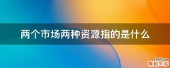 两个市场两种资源指的是什么