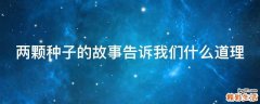 两颗种子的故事告诉我们什么道理