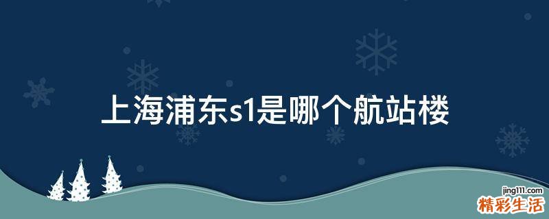 上海浦东s1是哪个航站楼