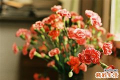 3 驱散夏季心理焦躁的5个小方法