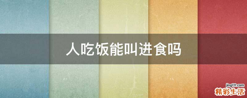人吃饭能叫进食吗