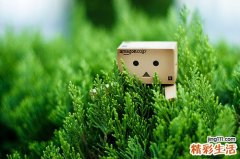 4 小儿哮喘