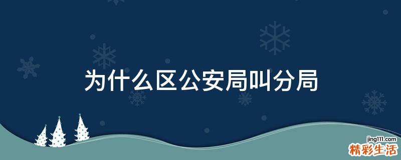 为什么区公安局叫分局