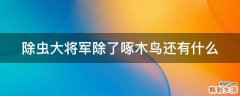 除虫大将军除了啄木鸟还有什么